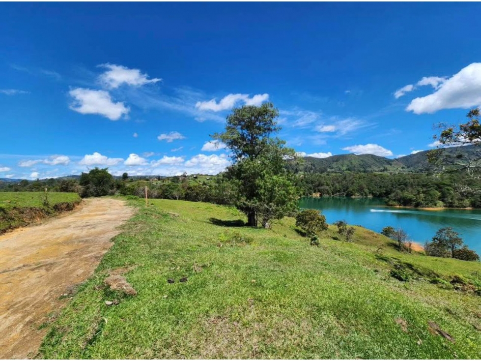 L0349. Exclusivos lotes con vista y acceso a embalse en El Peñol - 4