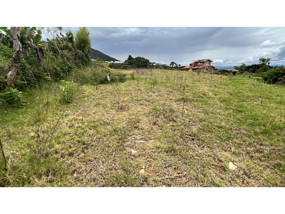 L0279. VENDO! Lote en sector de alta valorización en El Carmen — foto 6