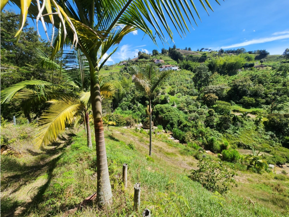 L0304.VENDO! Excelente Lote en Guatapé para Proyecto de Glamping — foto 5