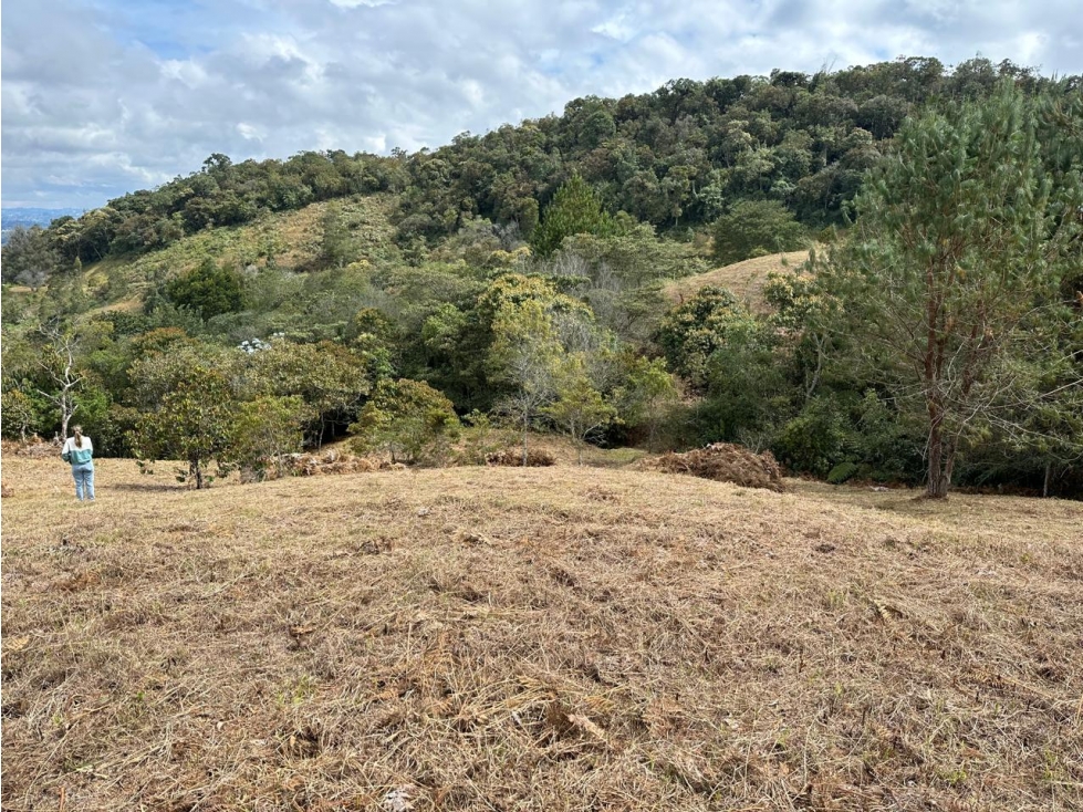 L0310. VENDO! Lote en sector exclusivos de Rionegro Antioquia. — foto 3