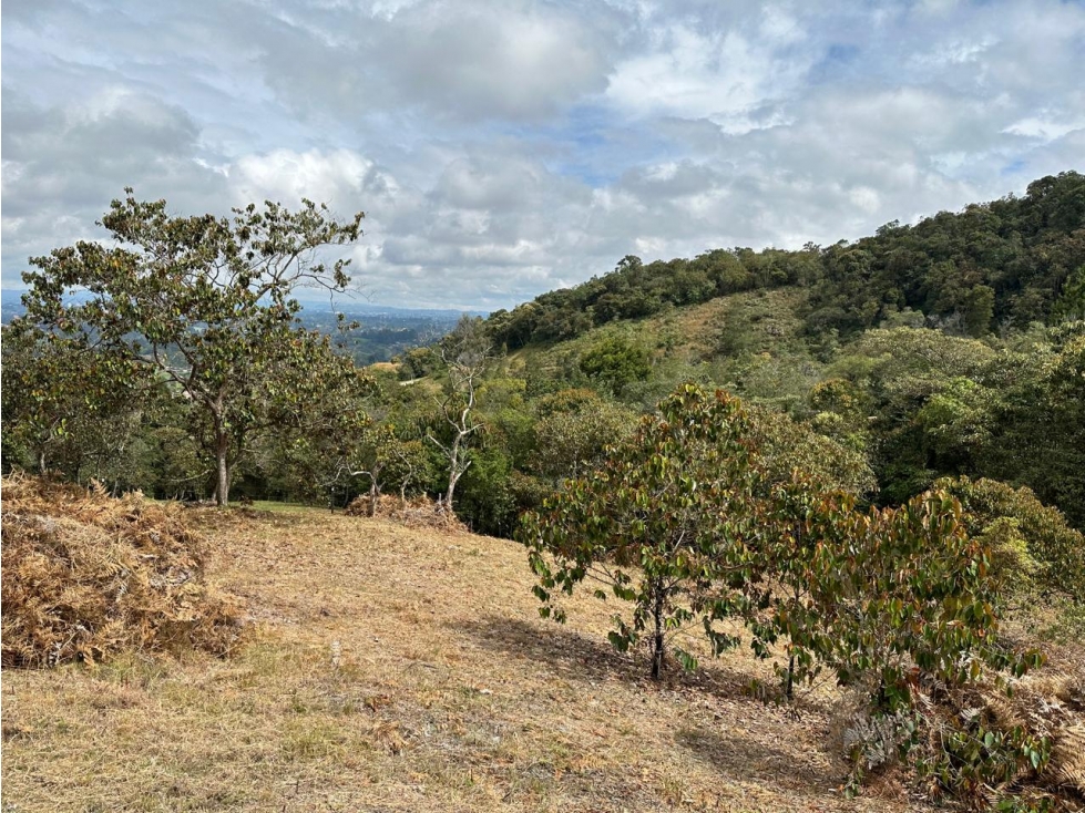 L0311. VENDO! Lote en parcelación exclusiva de Rionegro Antioquia. — foto 5