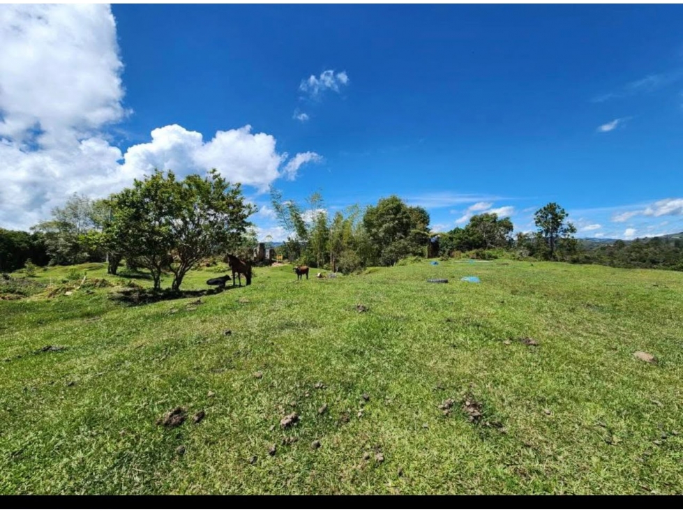L0349. Exclusivos lotes con vista y acceso a embalse en El Peñol - 5