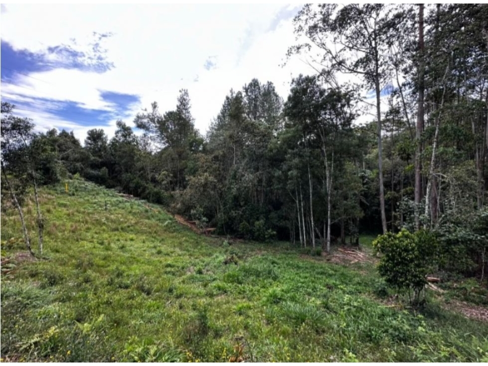 L0351. Lote de 2.500mt2 en excelente ubicación a 2km de La Ceja — foto 5