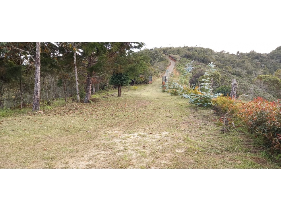 L0259. VENDO! Lote con excelente valorización en San Vicente Ferrer — foto 6