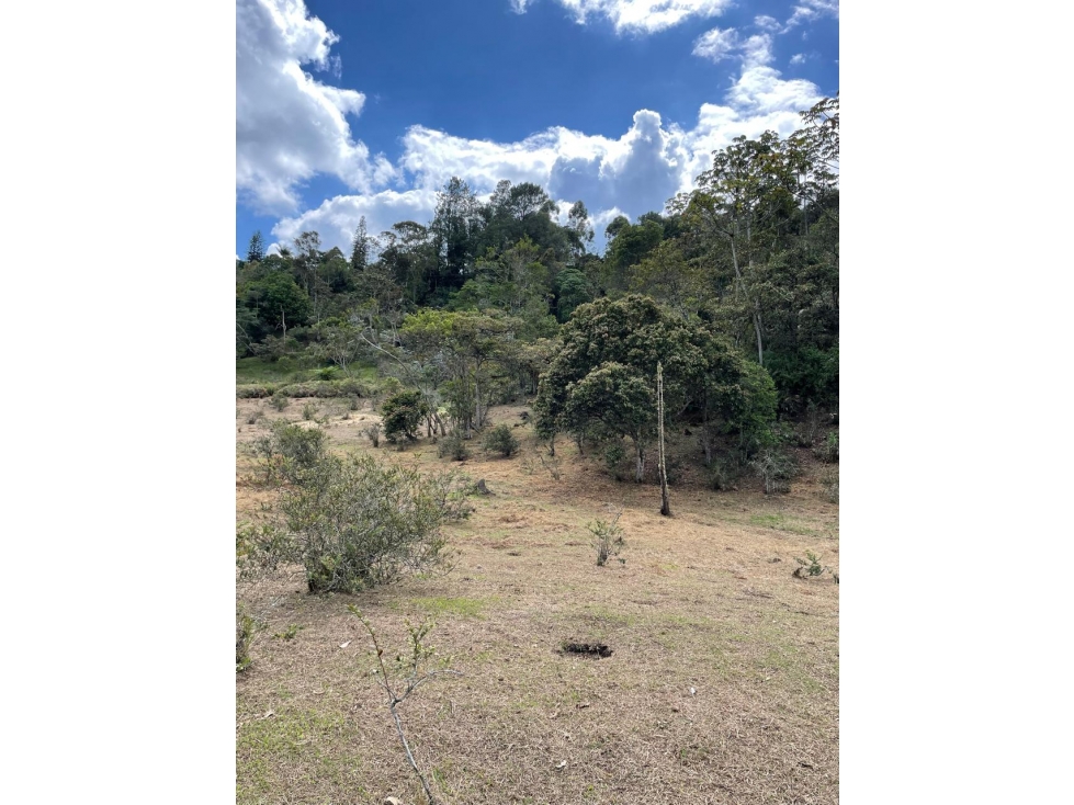 L0277. VENDO! Lote en exclusivo sector de Rionegro — foto 6