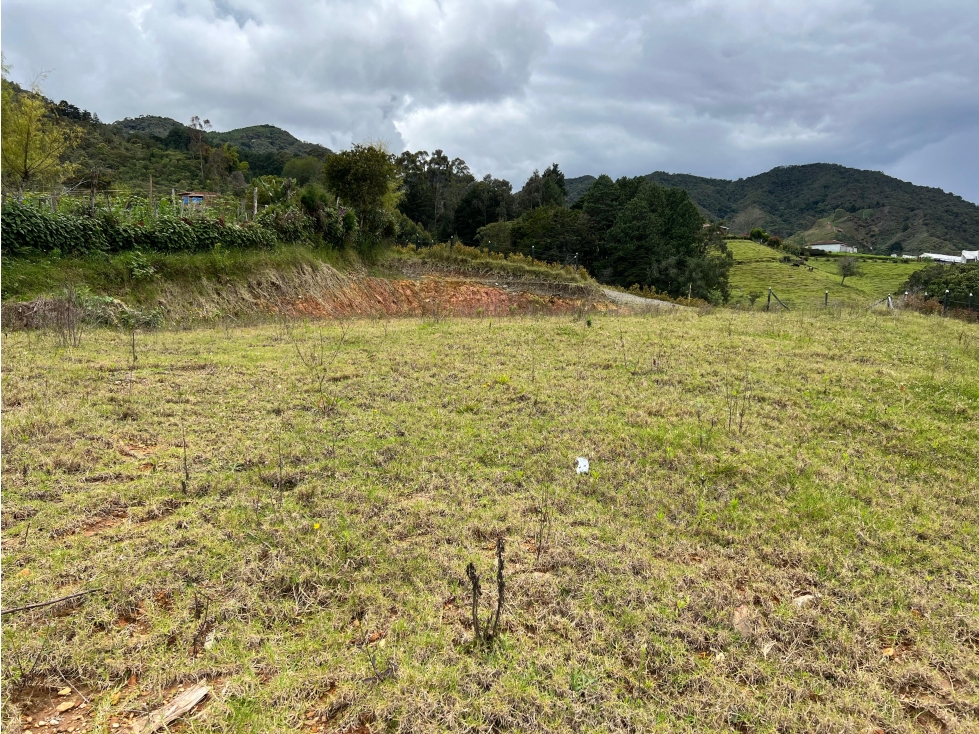 L0279. VENDO! Lote en sector de alta valorización en El Carmen