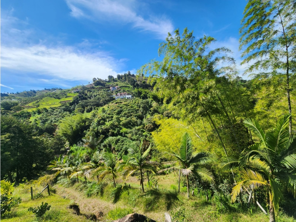 L0304.VENDO! Excelente Lote en Guatapé para Proyecto de Glamping — foto 6