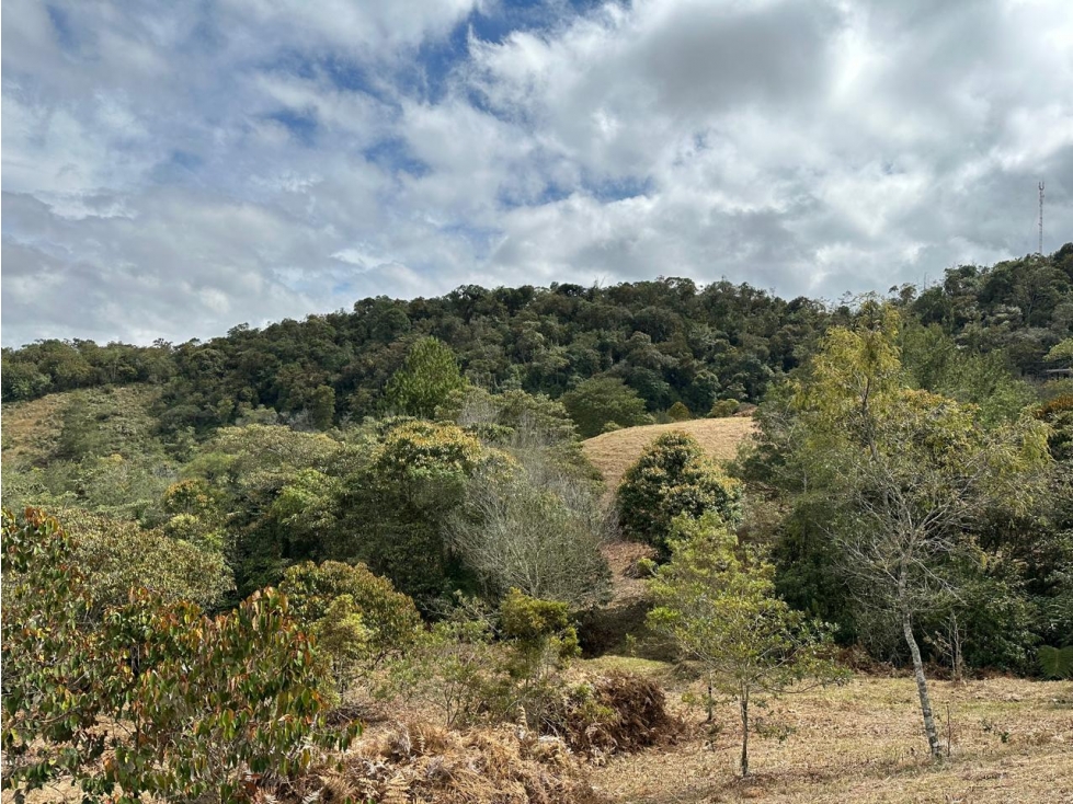 L0310. VENDO! Lote en sector exclusivos de Rionegro Antioquia. — foto 4
