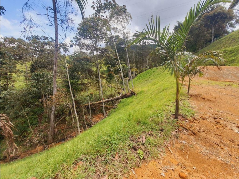 L0312. VENDO! Lote en exclusivo sector con un área de 4.402 Mt2 - 5