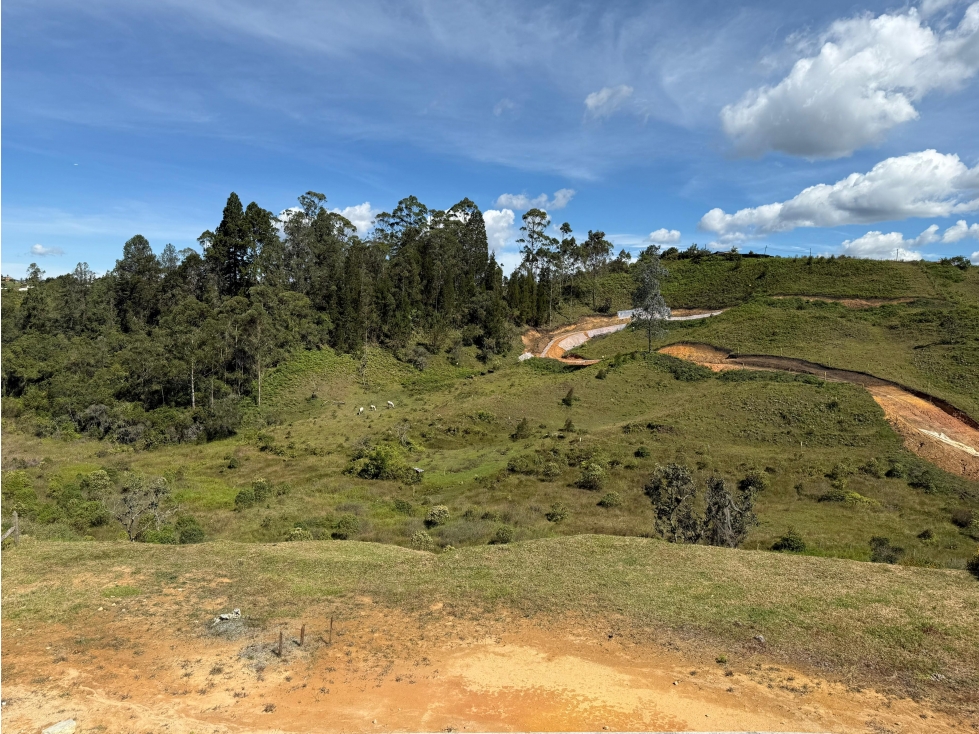 L0345. Lote con área de 2.128mt2 en parcelación campestre de Rionegro — foto 6