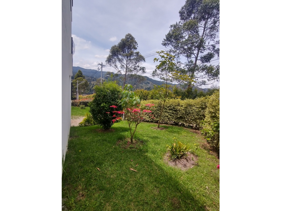 T0744. ALQUILO! Finca con un área de 500mt2 en buen sector en Guarne - 6