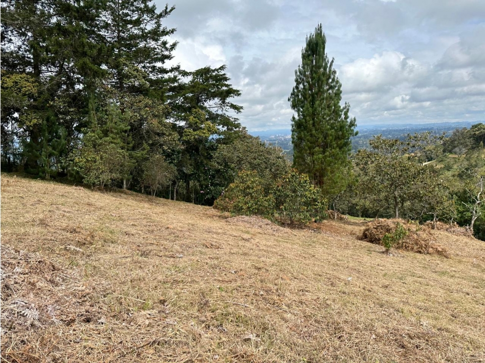 L0310. VENDO! Lote en sector exclusivos de Rionegro Antioquia. — foto 5