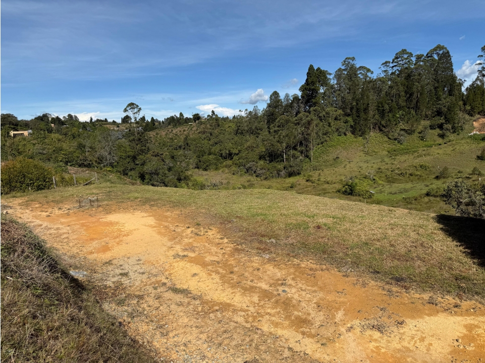 L0314. VENDO! Lote ubicado en excelente condominio de Rionegro — foto 6