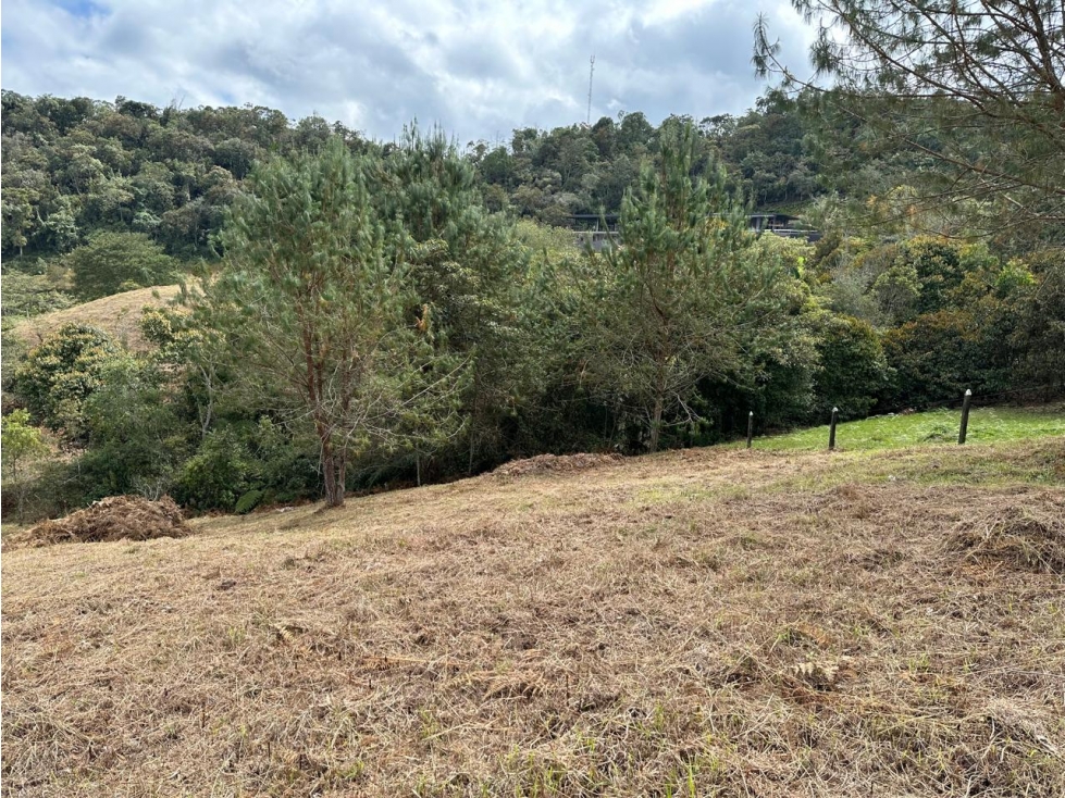 L0310. VENDO! Lote en sector exclusivos de Rionegro Antioquia. — foto 6