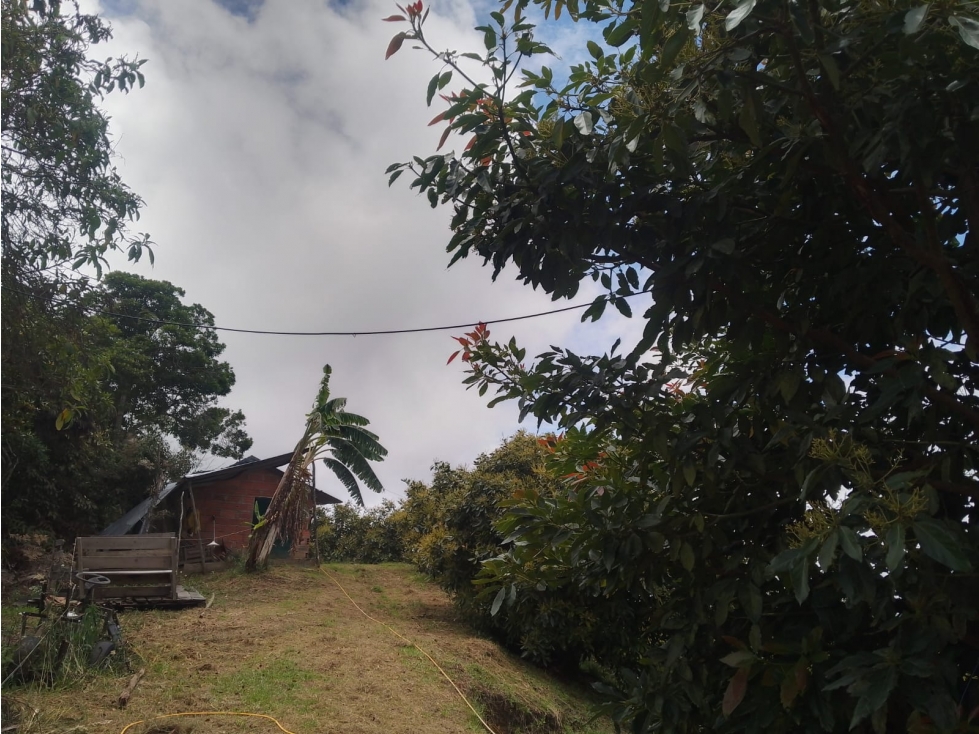 L0322. VENDO! Lote ubicado a 35min de la zona urbana de La Ceja — foto 4