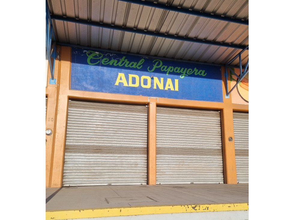 VENTA DE BODEGA EN NUEVO MERCADO HIDALGO EN ZAMORA, MICHOACAN - 1