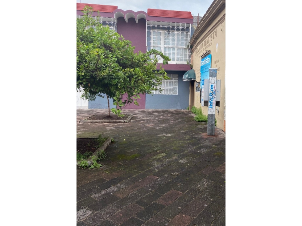 Propiedad comercial en venta, Centro, Zamora, Mich. - 3