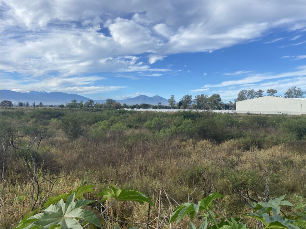 Terreno de 45,455 m2 en venta en el Libramiento Norte, Zamora, Mich. - 3