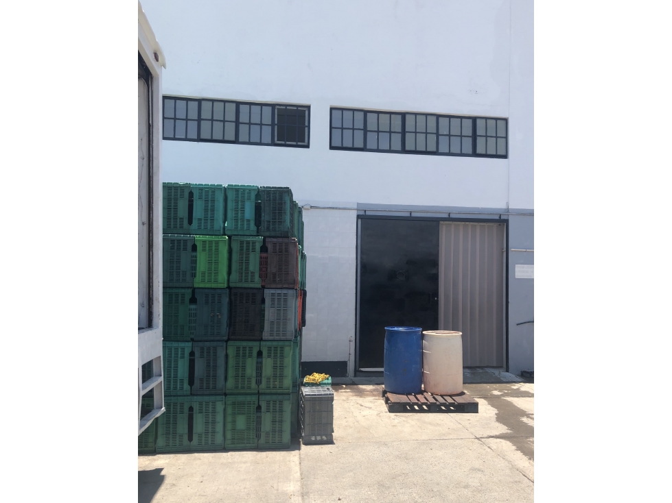 Propiedad industrial en venta en Zamora, Michoacán - 2