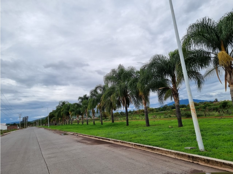 LOTE EN VENTA EN RIBERAS DEL DUERO ARIO DE RAYÓN, ZAMORA - 2