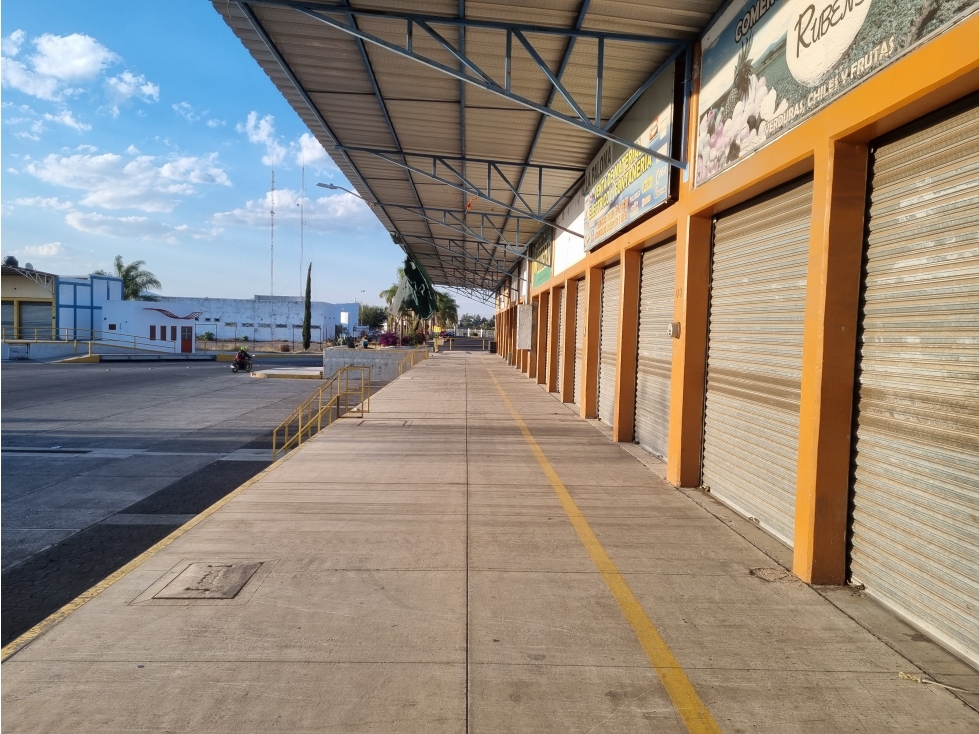 VENTA DE BODEGA EN NUEVO MERCADO HIDALGO EN ZAMORA, MICHOACAN - 2