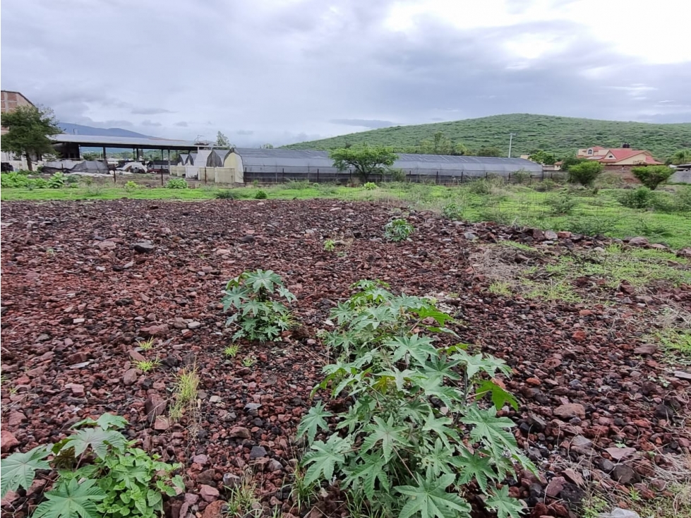 LOTE EN VENTA EN RIBERAS DEL DUERO EN ARIO DE RAYON, ZAMORA, MICHOACÁN - 4