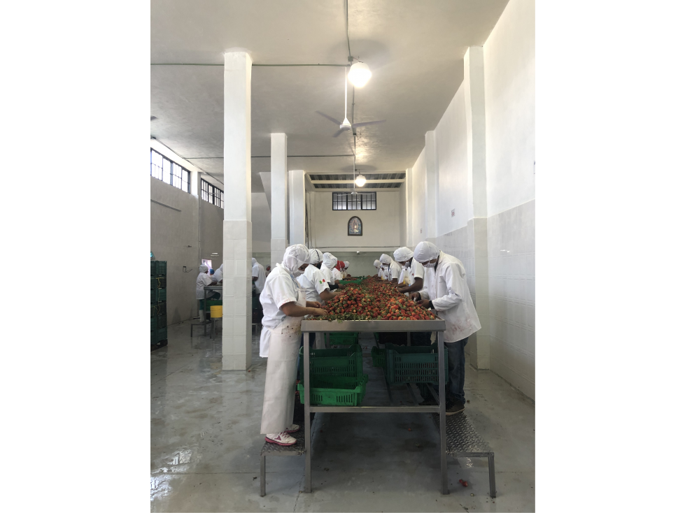 Propiedad industrial en venta en Zamora, Michoacán - 5