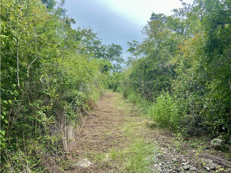 Terreno de 56,350.00 m2 en venta en Tetiz, Yucatán. - 5