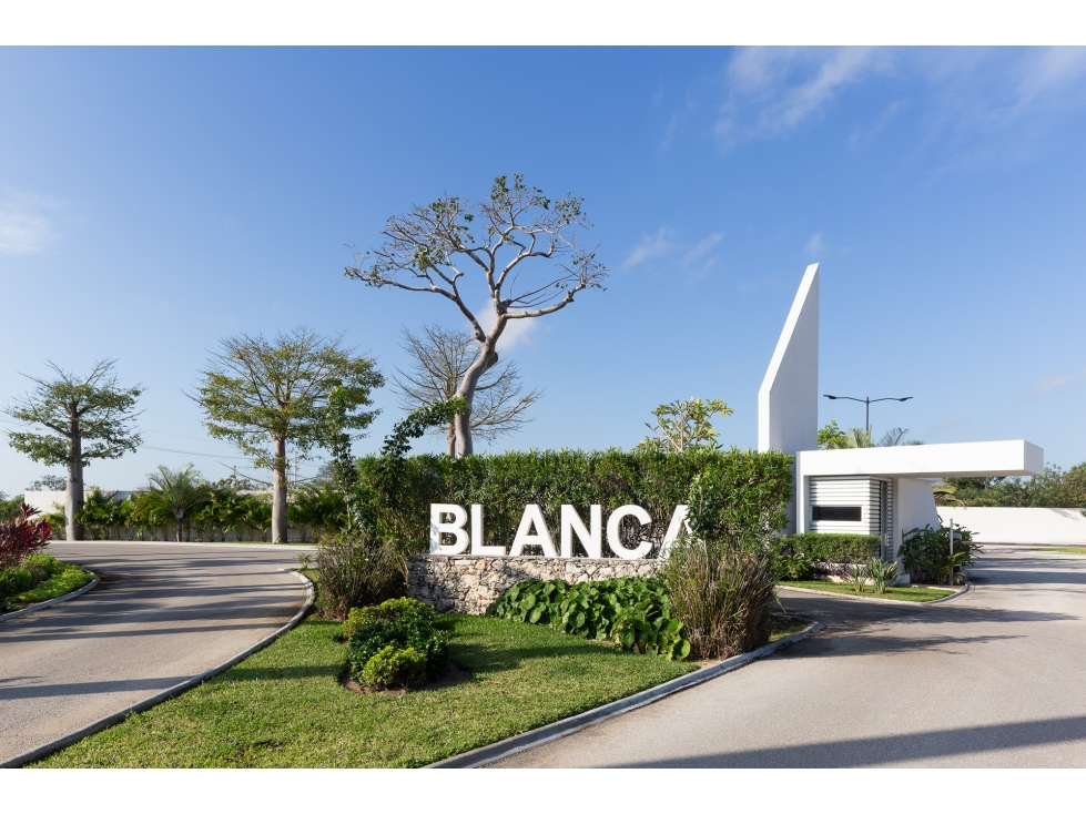 VENTA DE LOTES EN BLANCA RESIDENCIAL, MÉRIDA, YUCATÁN — foto 2