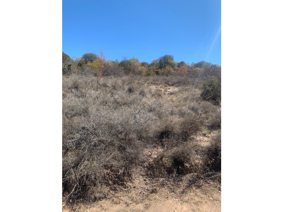 Terreno de 58.18 hect en venta a pie de la autopista Oaxaca-Puebla - 5