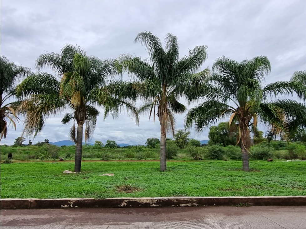 LOTE EN VENTA EN RIBERAS DEL DUERO EN ARIO DE RAYON, ZAMORA, MICHOACÁN - 6