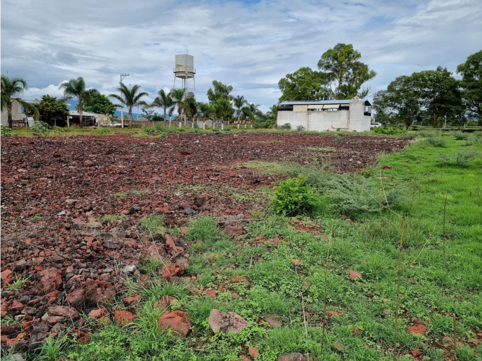 LOTE EN VENTA EN RIBERAS DEL DUERO ARIO DE RAYÓN, ZAMORA - 4