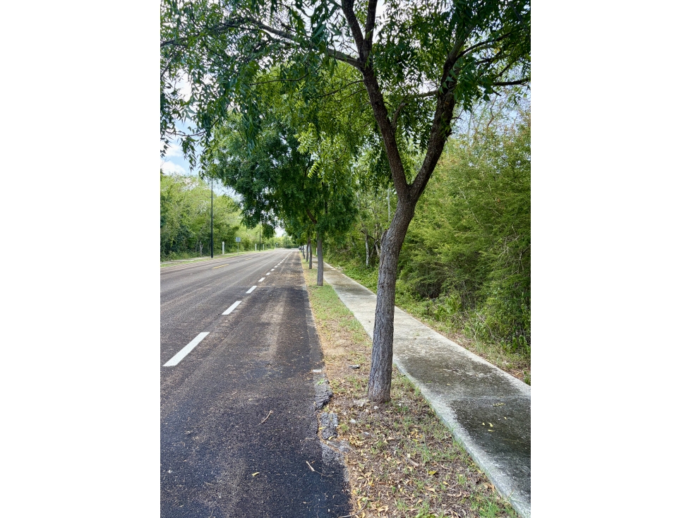 Lote en venta en el norte de Mérida en Condominio Residencial Phula - 5