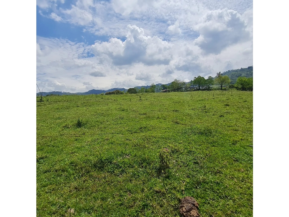 EN VENTA LOTE URBANO-VILLAVENTO - 5