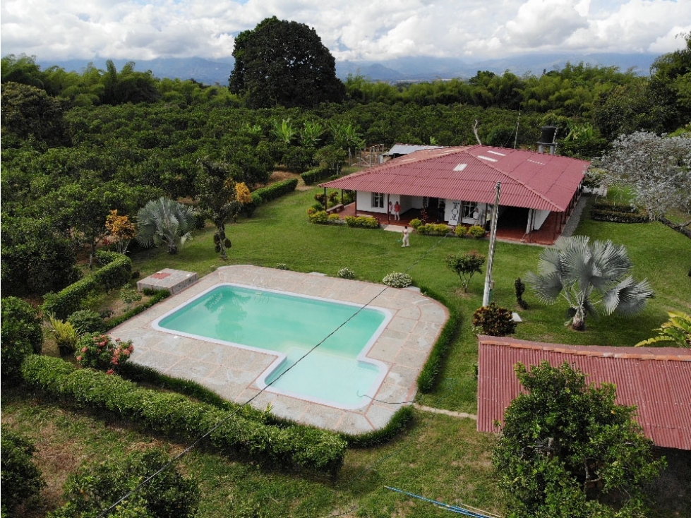 Finca en venta o alquiler La Tebaida