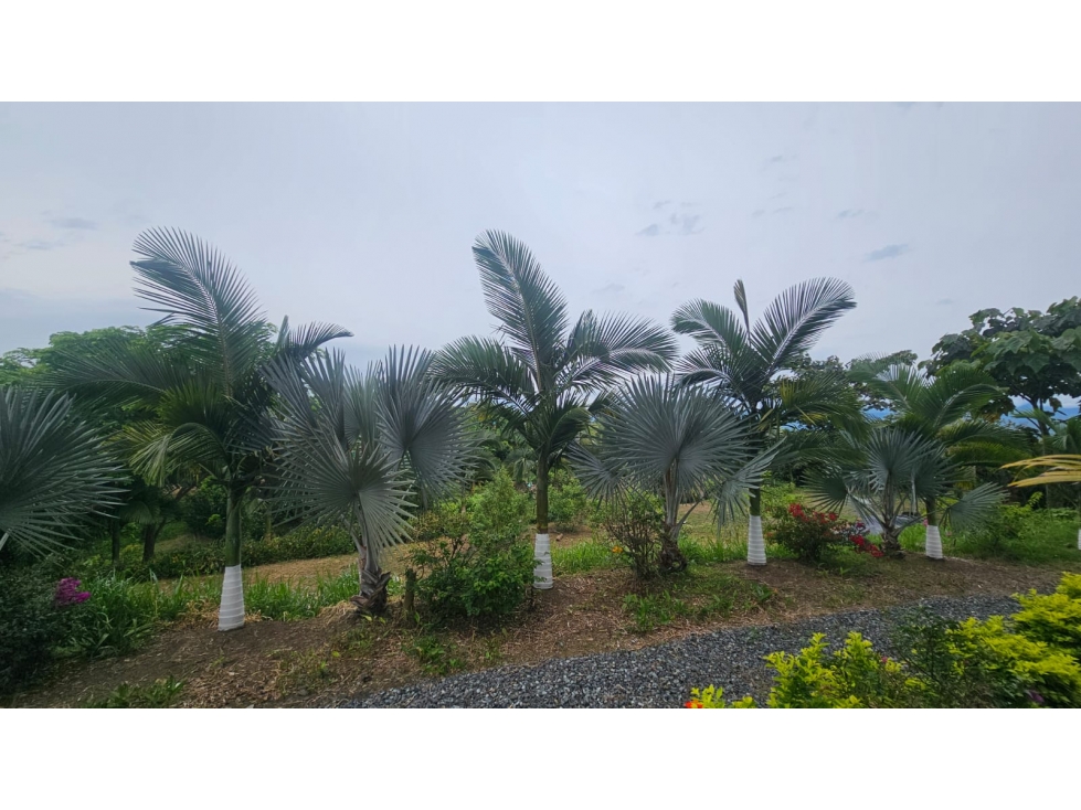 Lote de 10.000, uso vivienda campestre, ubicado en condominio