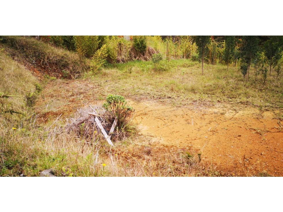 Venta de lote independiente vereda la esperanza las palmas