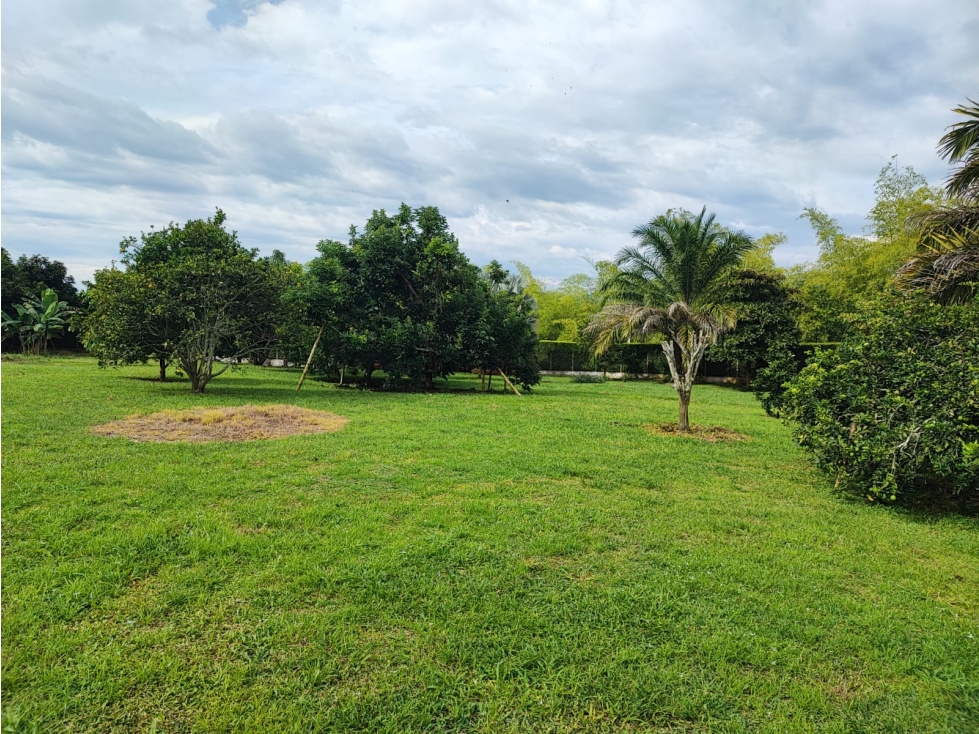 Lote en venta, Cerritos, Pereira — foto 4