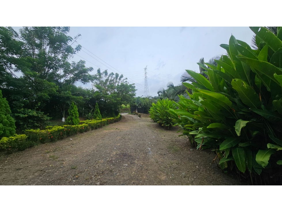 Lote de 10.000, uso vivienda campestre, ubicado en condominio — foto 2