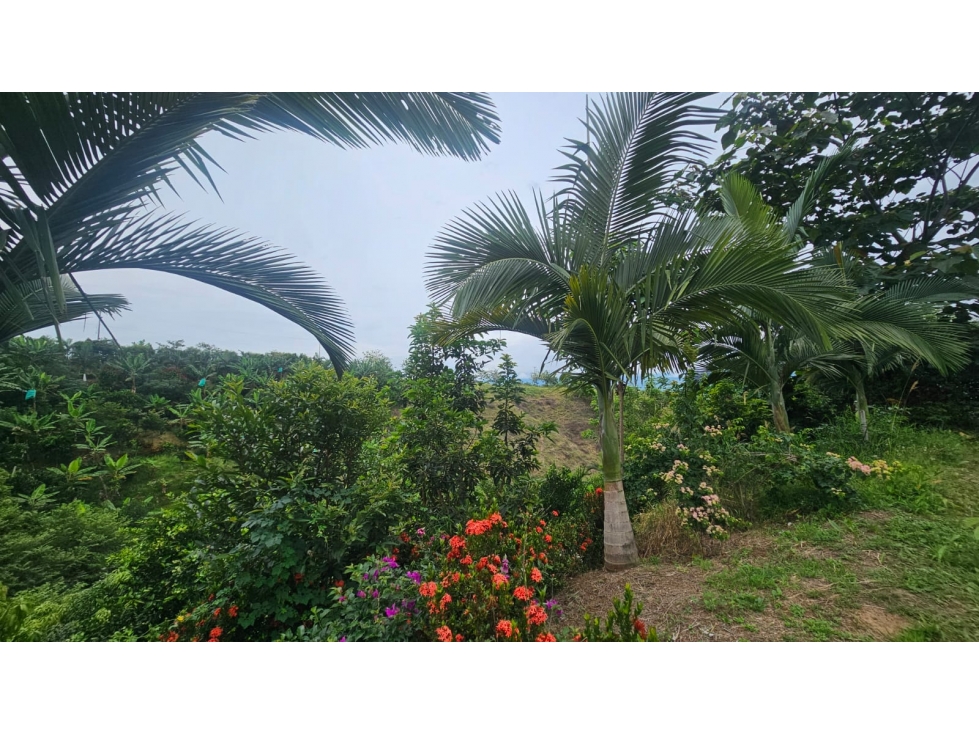 Lote de 10.000, uso vivienda campestre, ubicado en condominio — foto 3