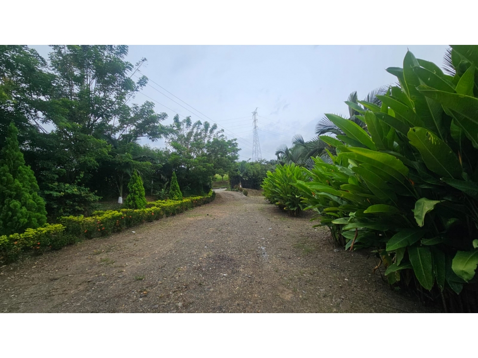 Lote de 10.000, uso vivienda campestre, ubicado en condominio — foto 4