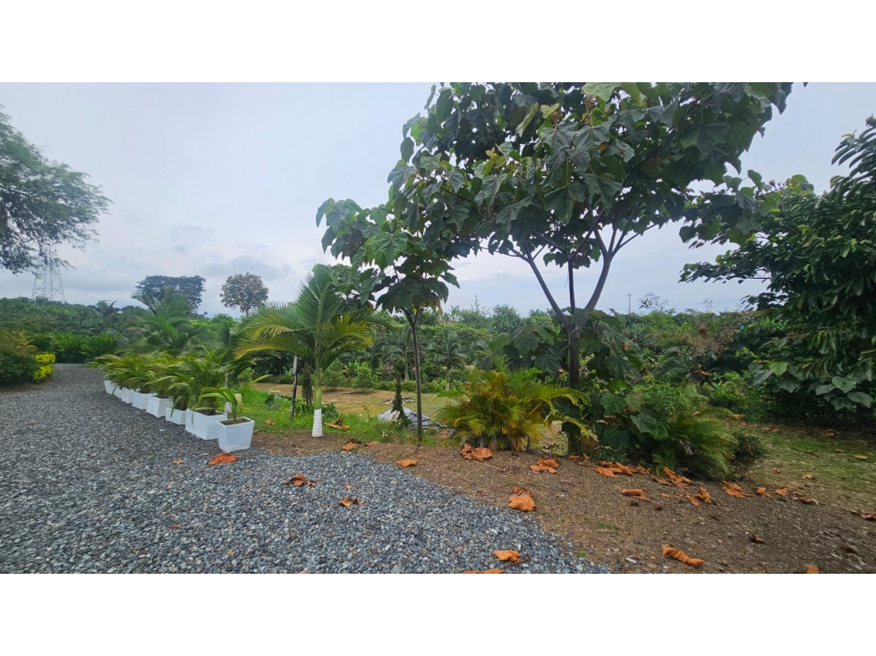 Lote de 10.000, uso vivienda campestre, ubicado en condominio — foto 5