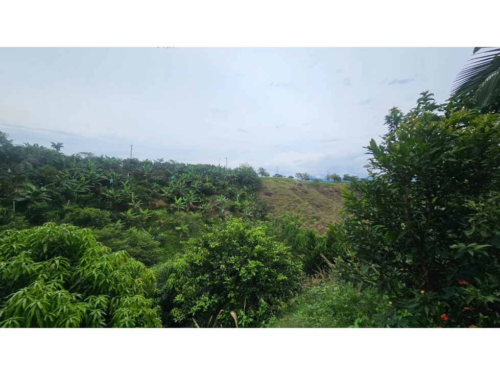 Lote de 10.000, uso vivienda campestre, ubicado en condominio — foto 6