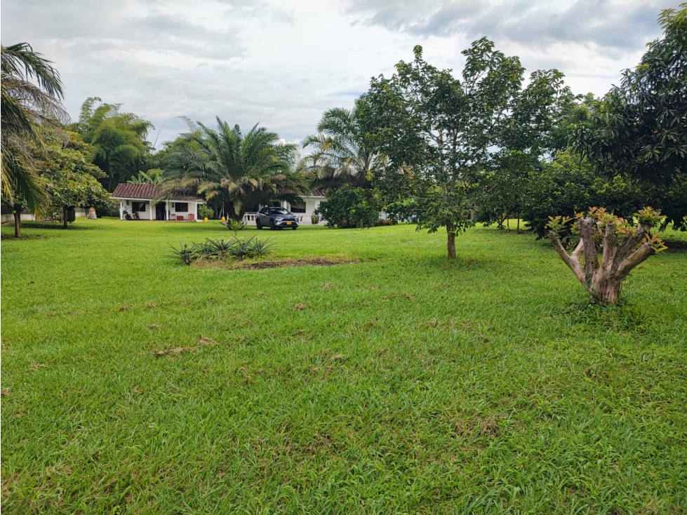 Lote en venta, Cerritos, Pereira — foto 3