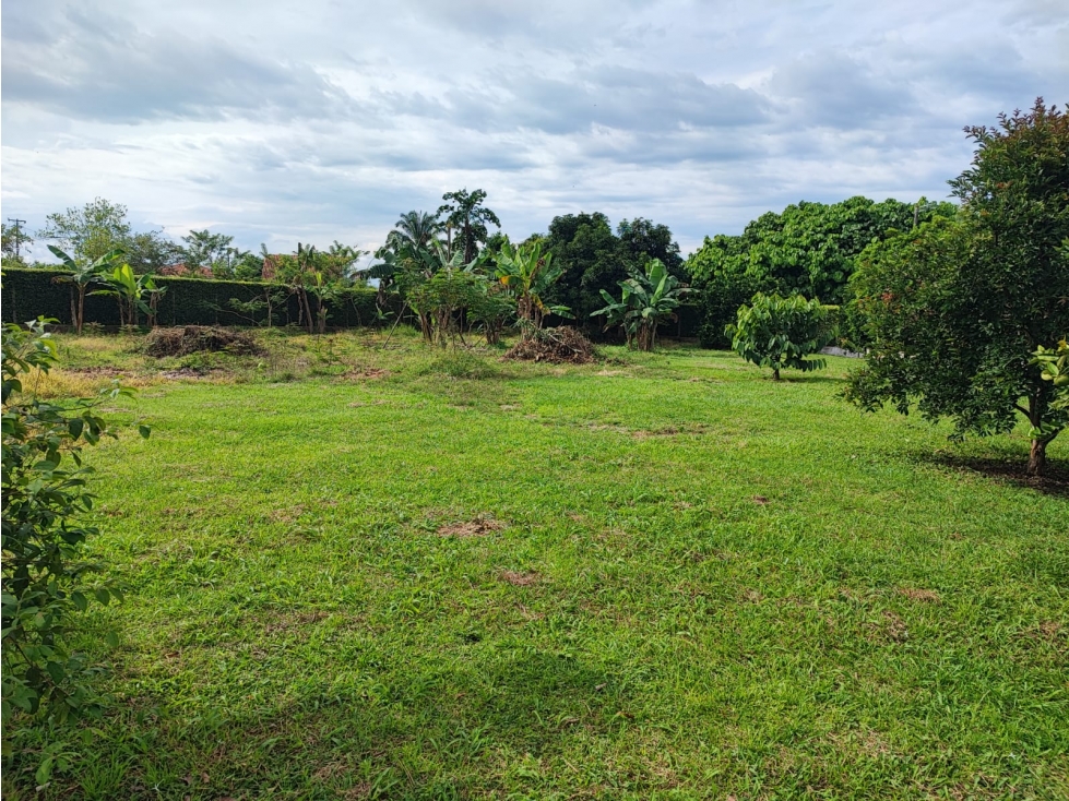 Lote en venta, Cerritos, Pereira — foto 5