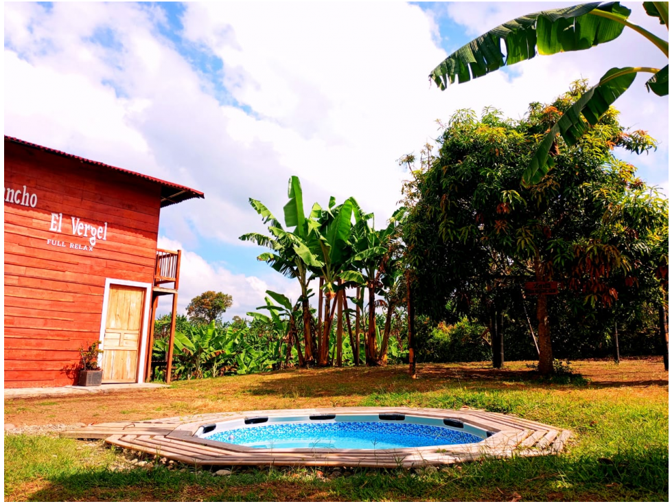 VENTA FINCA VIA ARMENIA MONTENEGRO QUINDIO, COL. CEL. 320 7746921 — foto 3