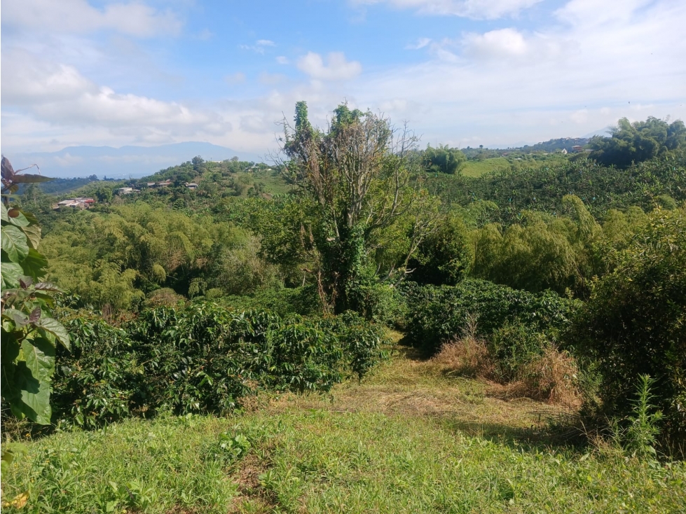 VENTA FINCA FILANDIA QUINDIO COLOMBIA 3207746921 — foto 5