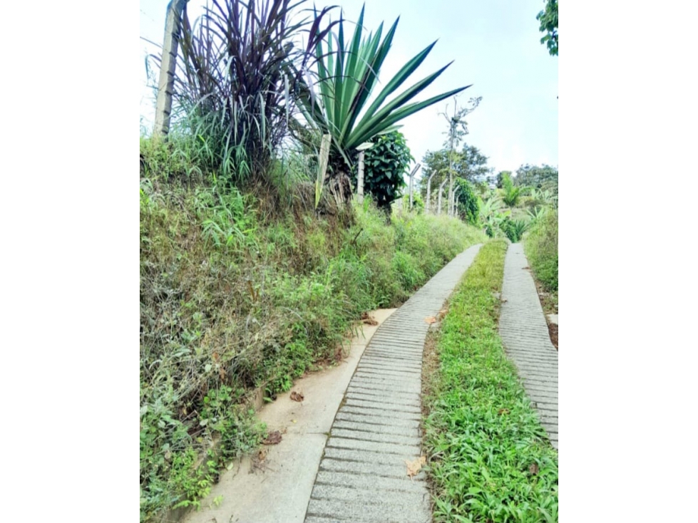 VENTA CASA FINCA PEREIRA DOSQUEBRADAS COLOMBIA 3207746921 — foto 2