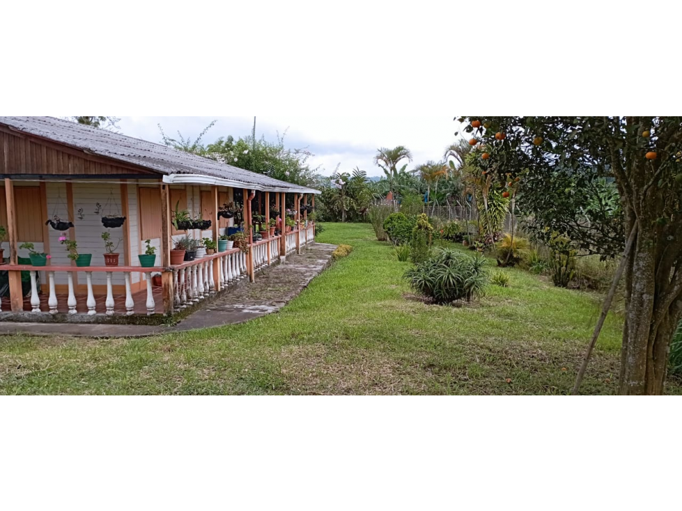 VENTA FINCA EN CIRCASIA QUINDIO COLOMBIA-3207746921