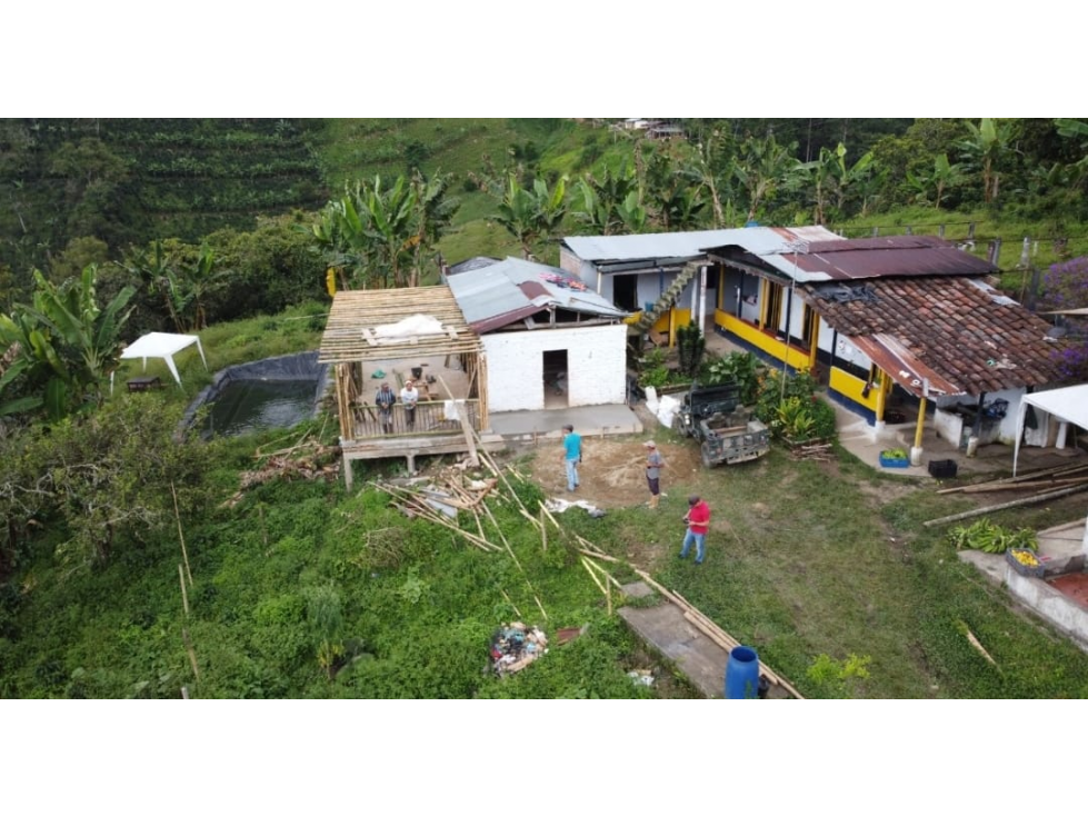 SE VENDE FINCAL EN GENOVA QUINDIO QUINDIO COLOMBIA-3207746921 - 1